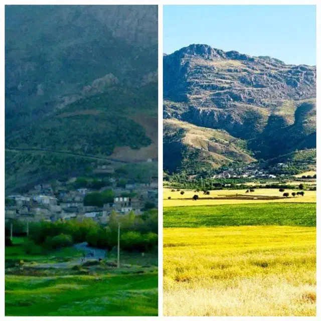 خانه اجاره ای اجاره روزانه ویلا|اجارهٔ کوتاه‌مدت ویلا و باغ|کامیاران, |دیوار