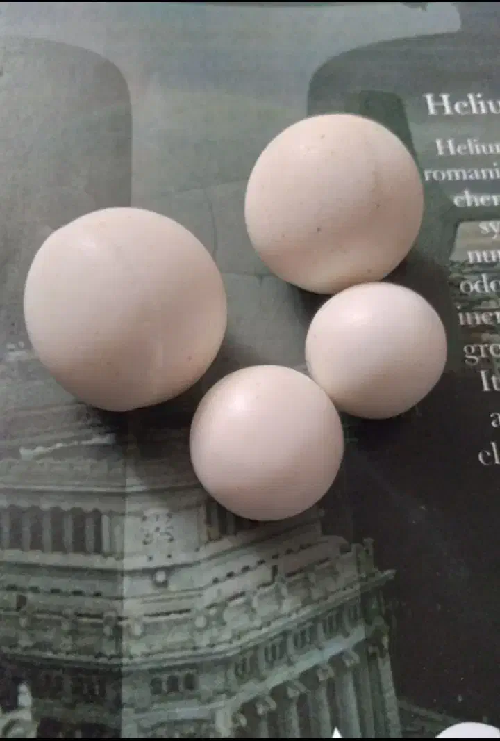 سنگ الماس آسیاب|جواهرات|شیراز, شهرک سعدی|دیوار