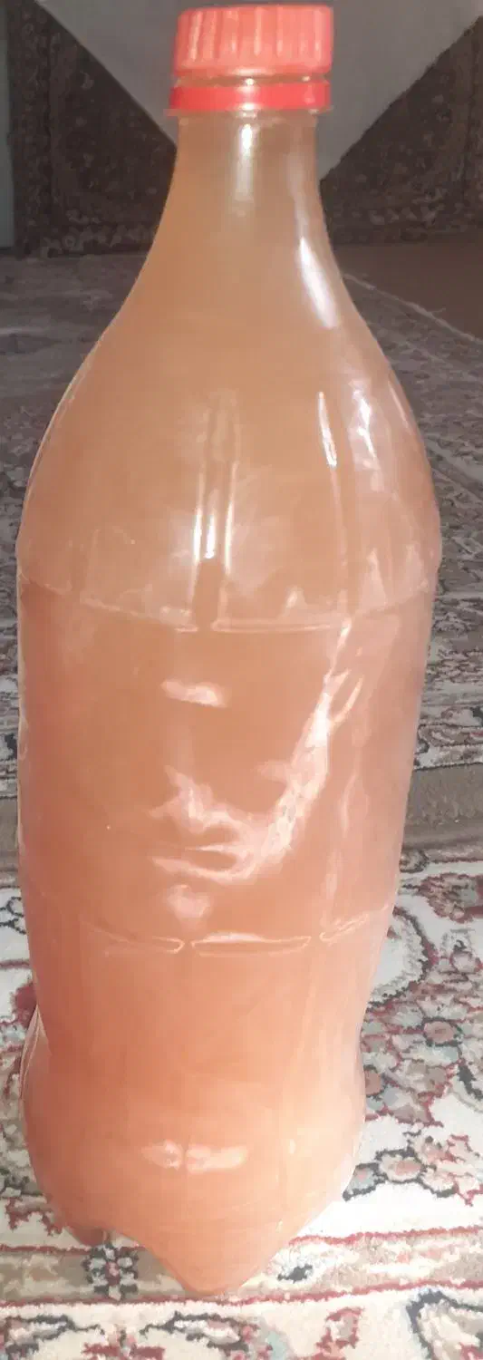 سکه و سرکه سیب محلی درجه یک وصد درصد بهداشتی|خوردنی و آشامیدنی|اقبالیه, |دیوار