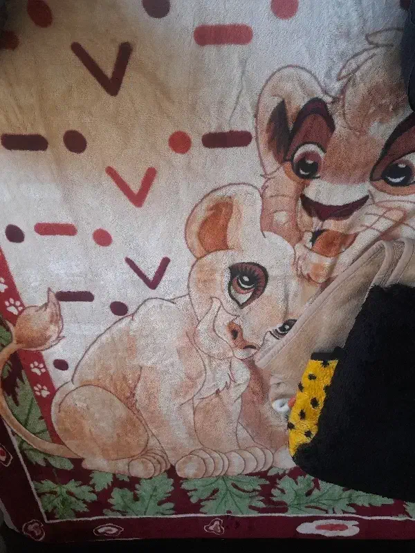 تعدادی پتو بالشت و رختخواب کار کرده فوری به فروش|رختخواب، بالش، پتو|محمودآباد, |دیوار