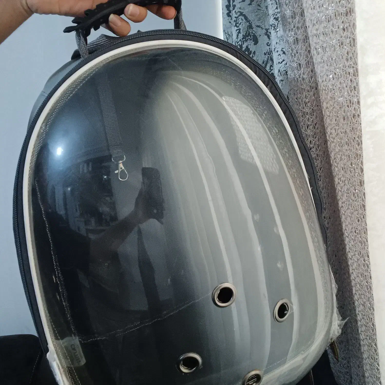 باکس حمل حیوانات خانگی ( گربه )|لوازم جانبی حیوانات|گرگان, |دیوار