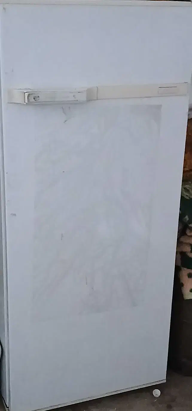 یخچال|یخچال و فریزر|راین, |دیوار