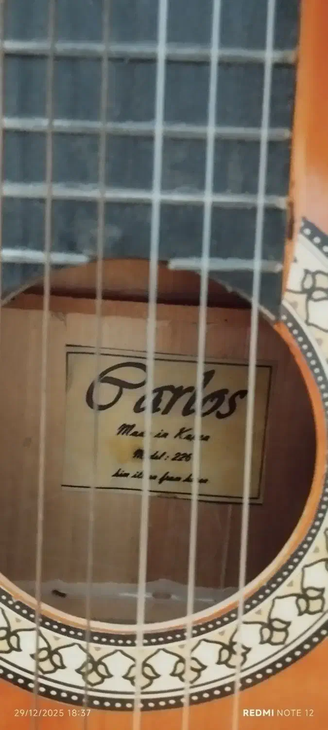 گیتار|گیتار، بیس، امپلیفایر|ری, تقی آباد|دیوار