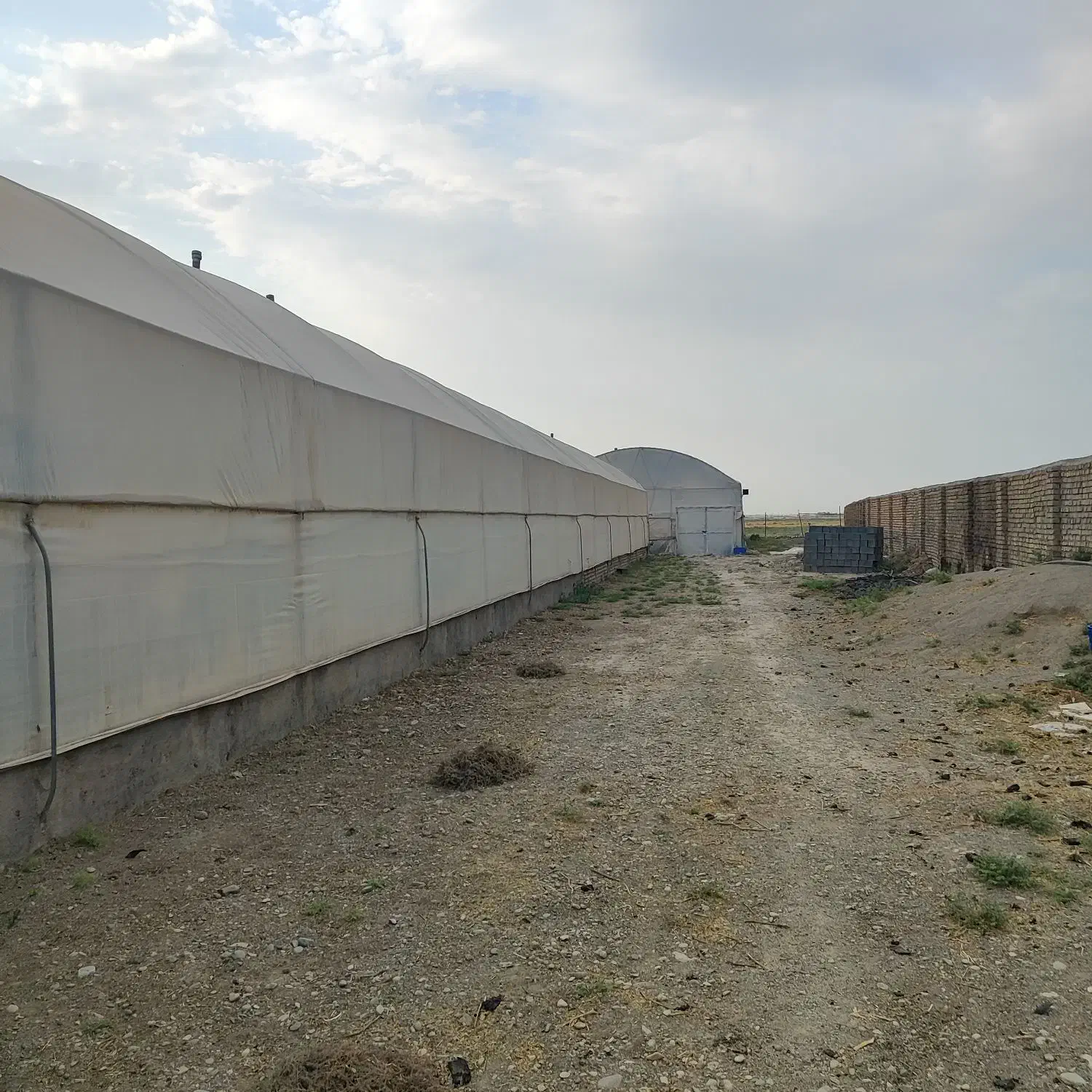 ۲۰هکتار کشاورزی ۵هکتار گلخانه کارخانه صنعتی ورامین|فروش دفتر صنعتی، کشاورزی، تجاری|جوادآباد, |دیوار