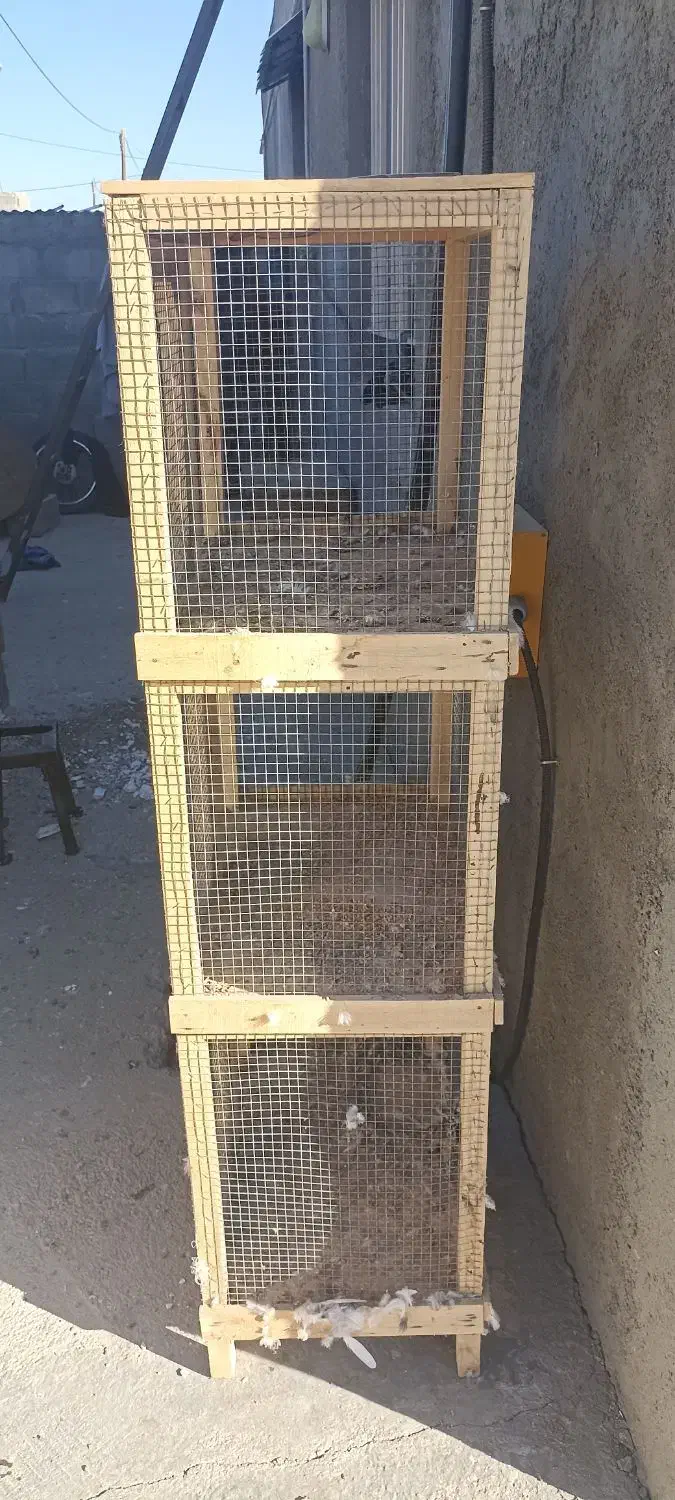 قفسه|لوازم جانبی حیوانات|بسطام, |دیوار