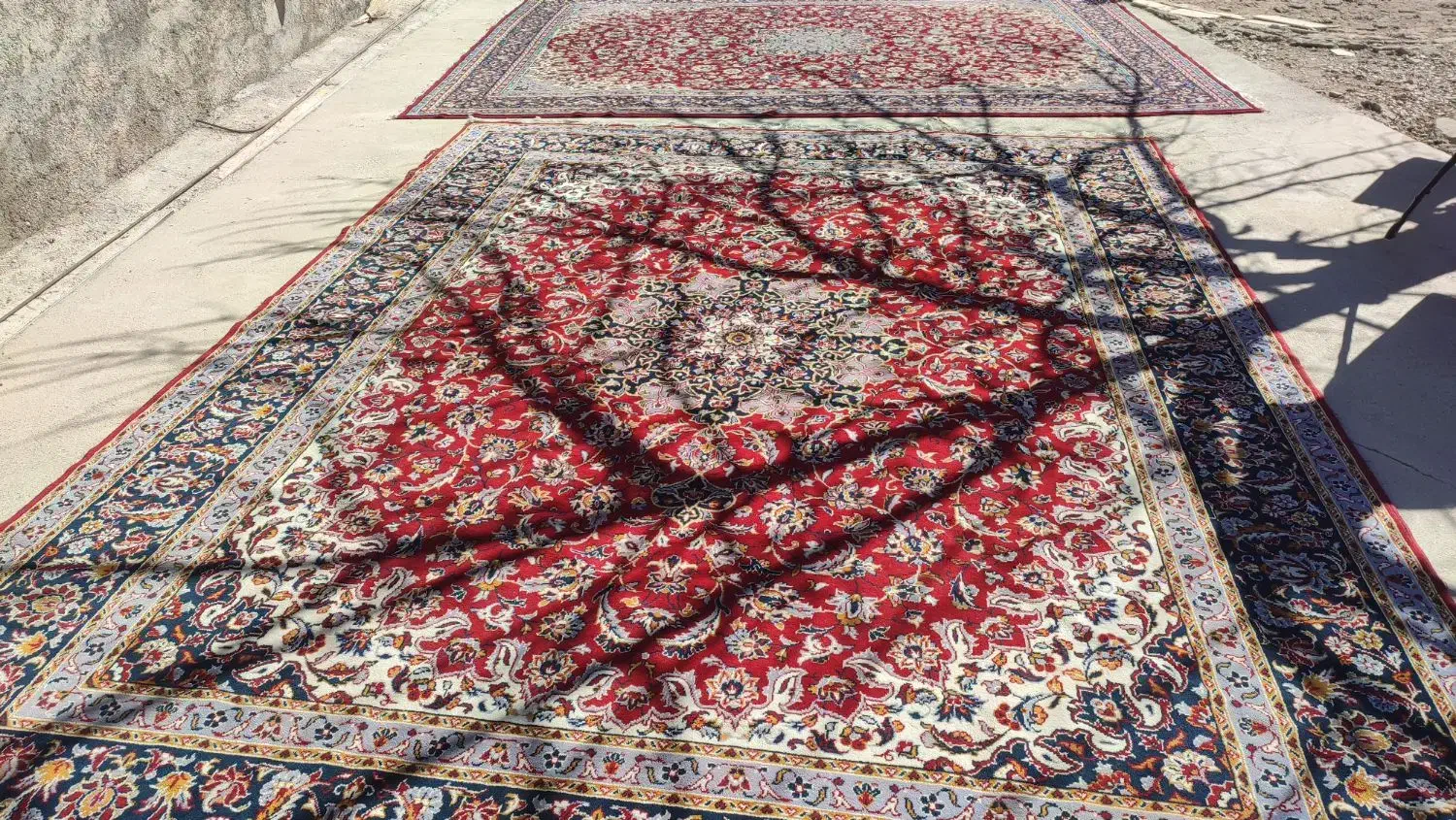 قالی|فرش|نورآباد, |دیوار