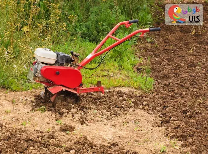 خدمات باغبانی و سمپاشی|خدمات باغبانی و درختکاری|مشهد, فدک|دیوار