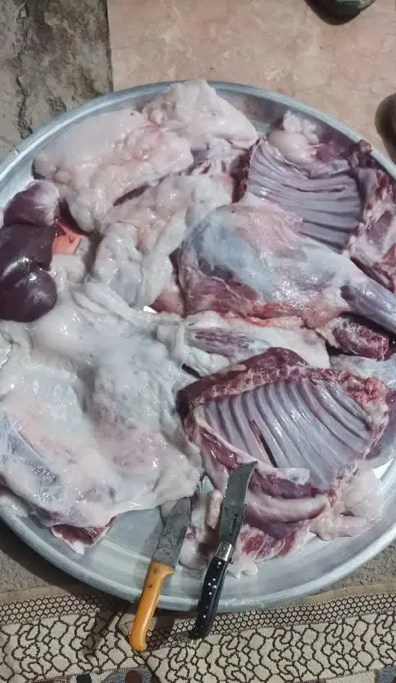 بره بزغاله میش گوسفند بز نذری عقیقه|حیوانات مزرعه|خمینیشهر, |دیوار