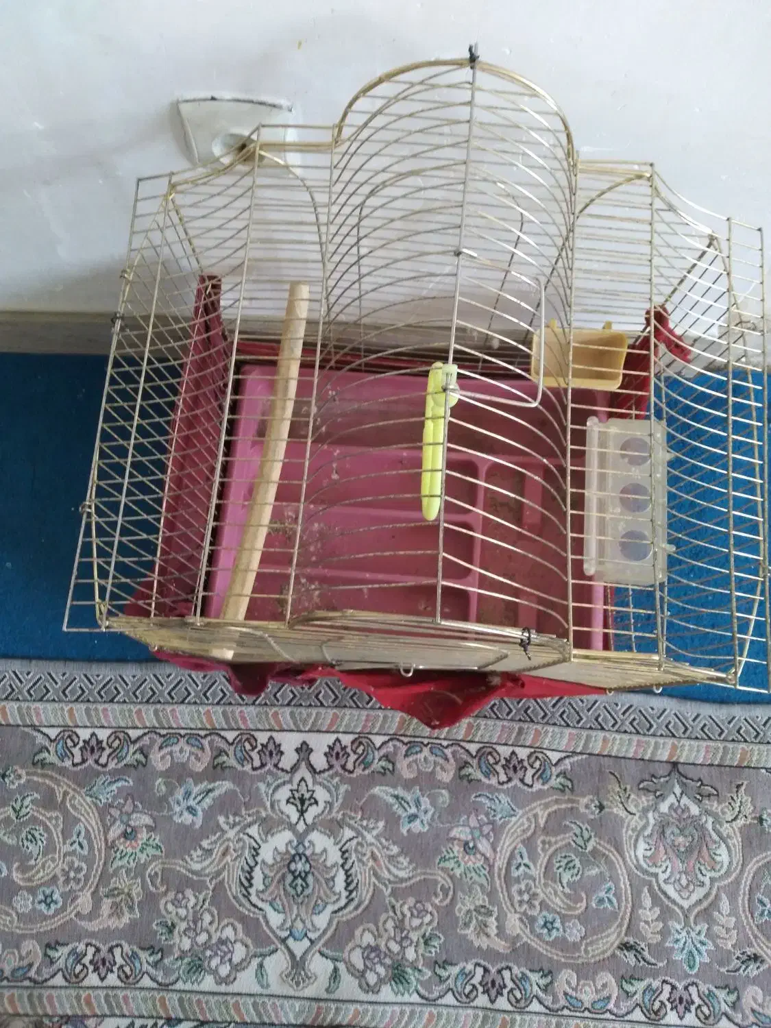 قفس حرفهای|لوازم جانبی حیوانات|فولادشهر, مسکن مهر فولادشهر|دیوار