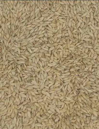 جو خارجی|لوازم جانبی حیوانات|میناب, |دیوار