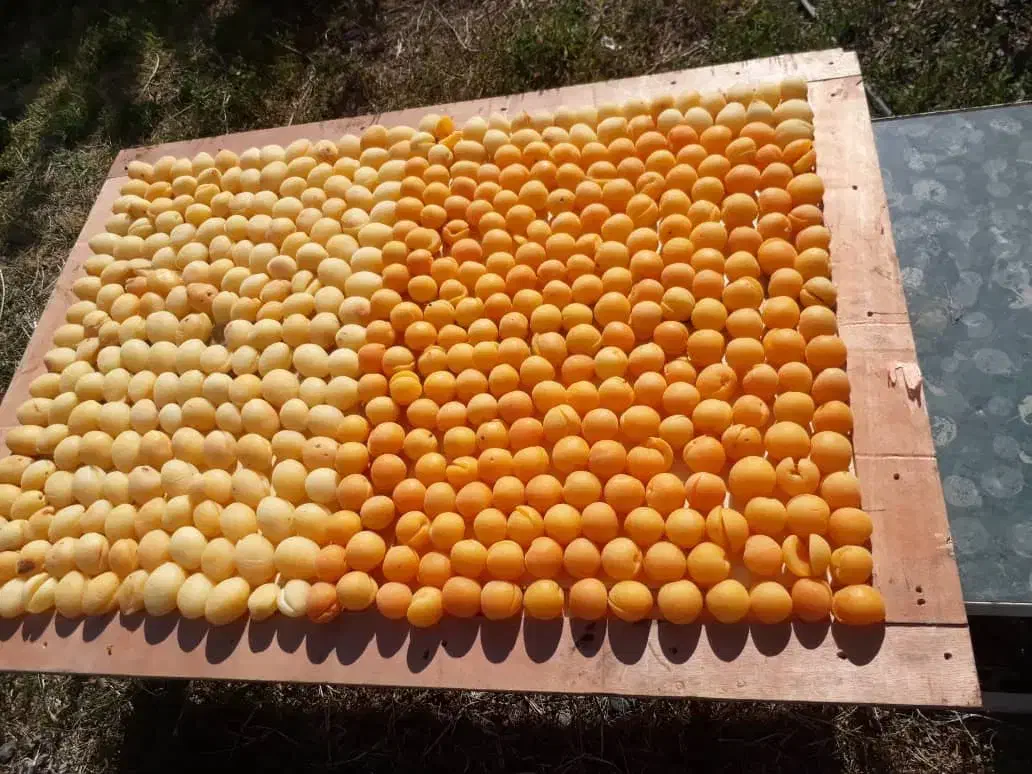 فروش باغ ویلا شرفخانه|فروش خانه و ویلا|تسوج, |دیوار