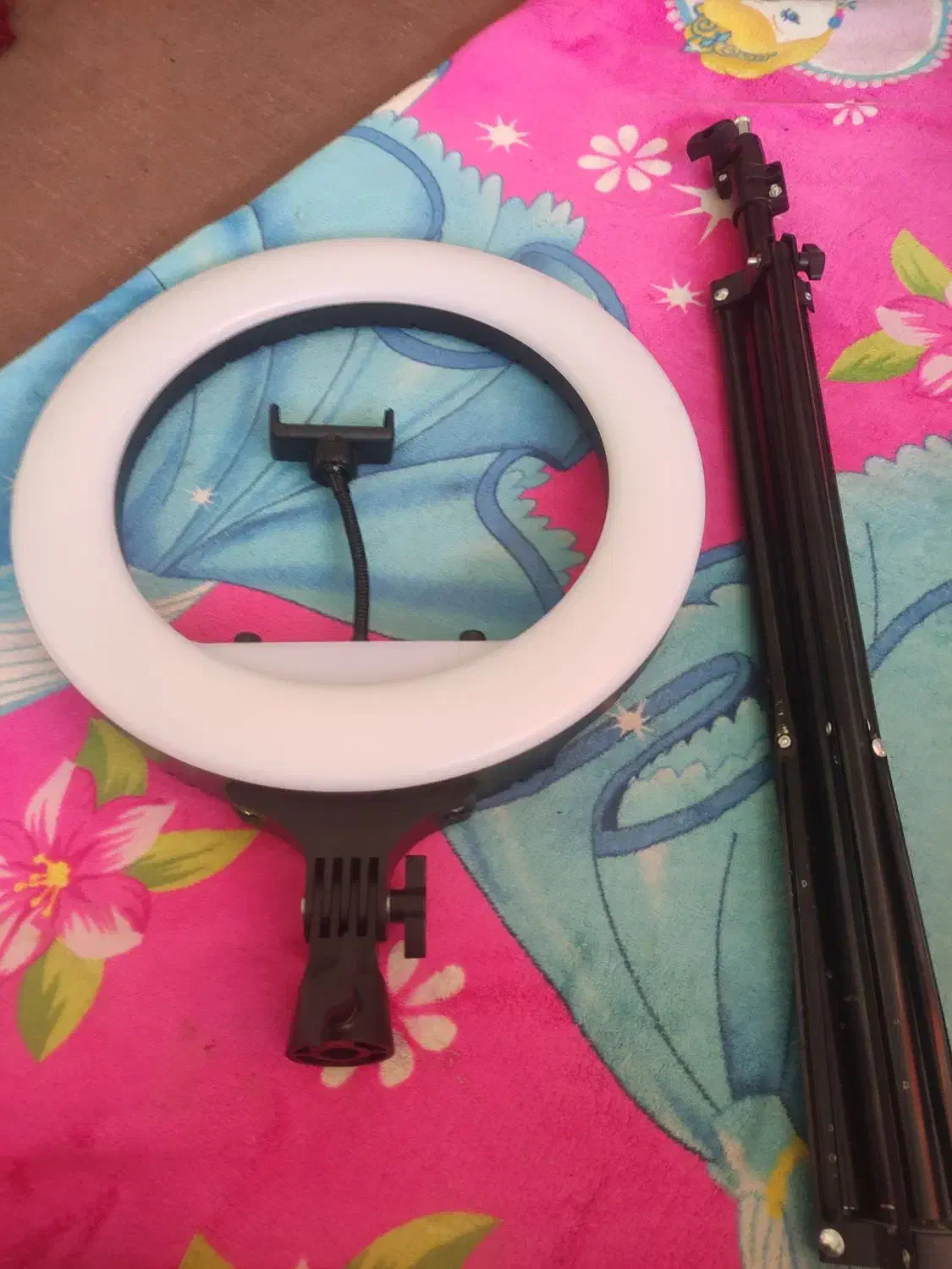 رینگ لایت|دوربین عکاسی و فیلم‌برداری|مشهد, پارک کوهستان|دیوار