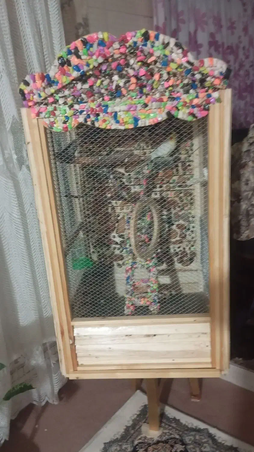 قفس چوبی|لوازم جانبی حیوانات|ابهر, |دیوار