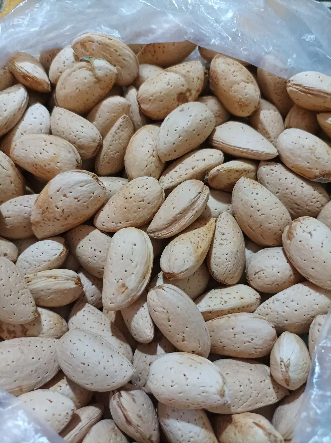 گردو و بادام خوب و خوش طعم|خوردنی و آشامیدنی|شیراز, پشم شیشه|دیوار