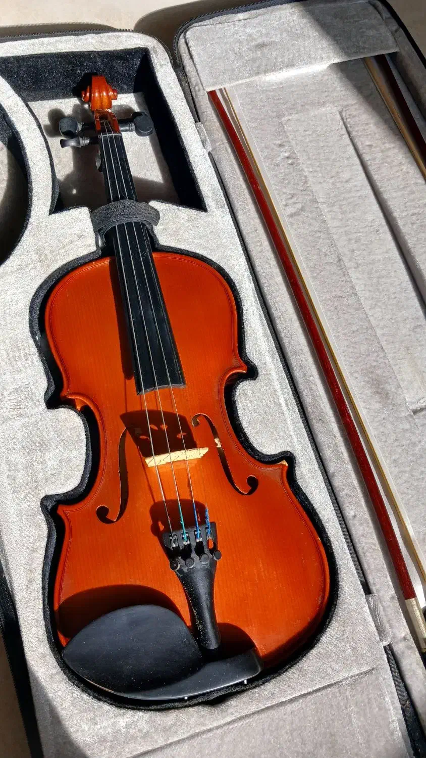 ویولن|ویولن|سنندج, |دیوار