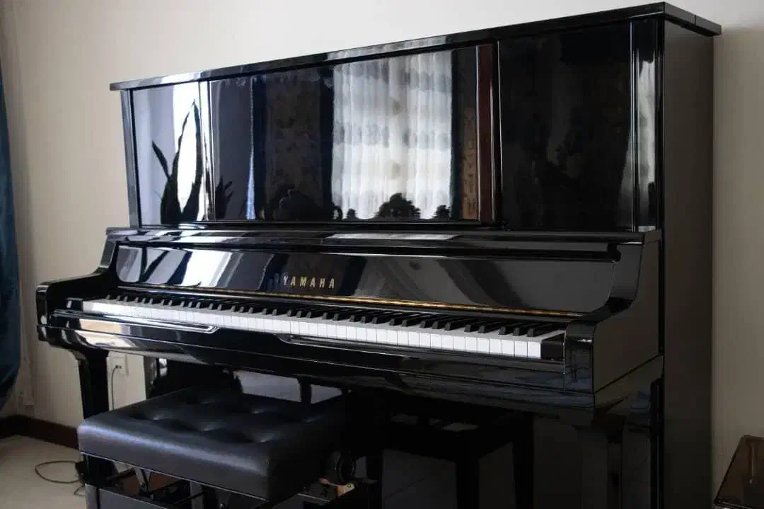 Samick وyoung'hangPهافمن.. بدون سودیاماهافویریخ|پیانو، کیبورد، آکاردئون|مبارکه, |دیوار