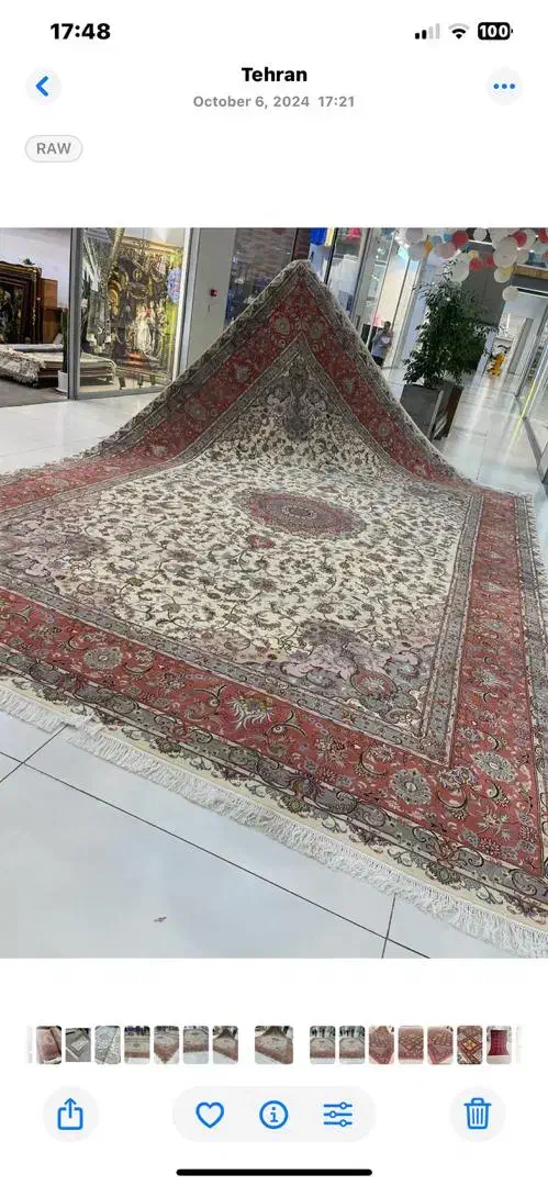 فرش دستباف (بساک)۲۴ متری طرح علیا ۴۵ رج ۴در۶|فرش|مشکیندشت, |دیوار