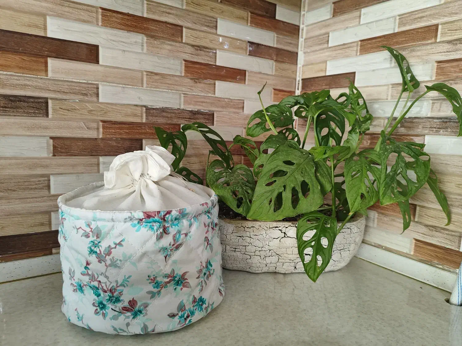 کیف سبزی یا میوه|ظروف نگهدارنده، پلاستیکی، یکبارمصرف|گلبهار, شهر جدید گلبهار|دیوار