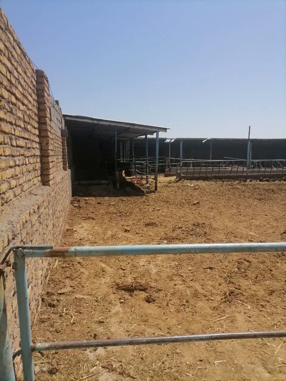 فروش گاوداری|فروش دفتر صنعتی، کشاورزی، تجاری|رضویه, |دیوار