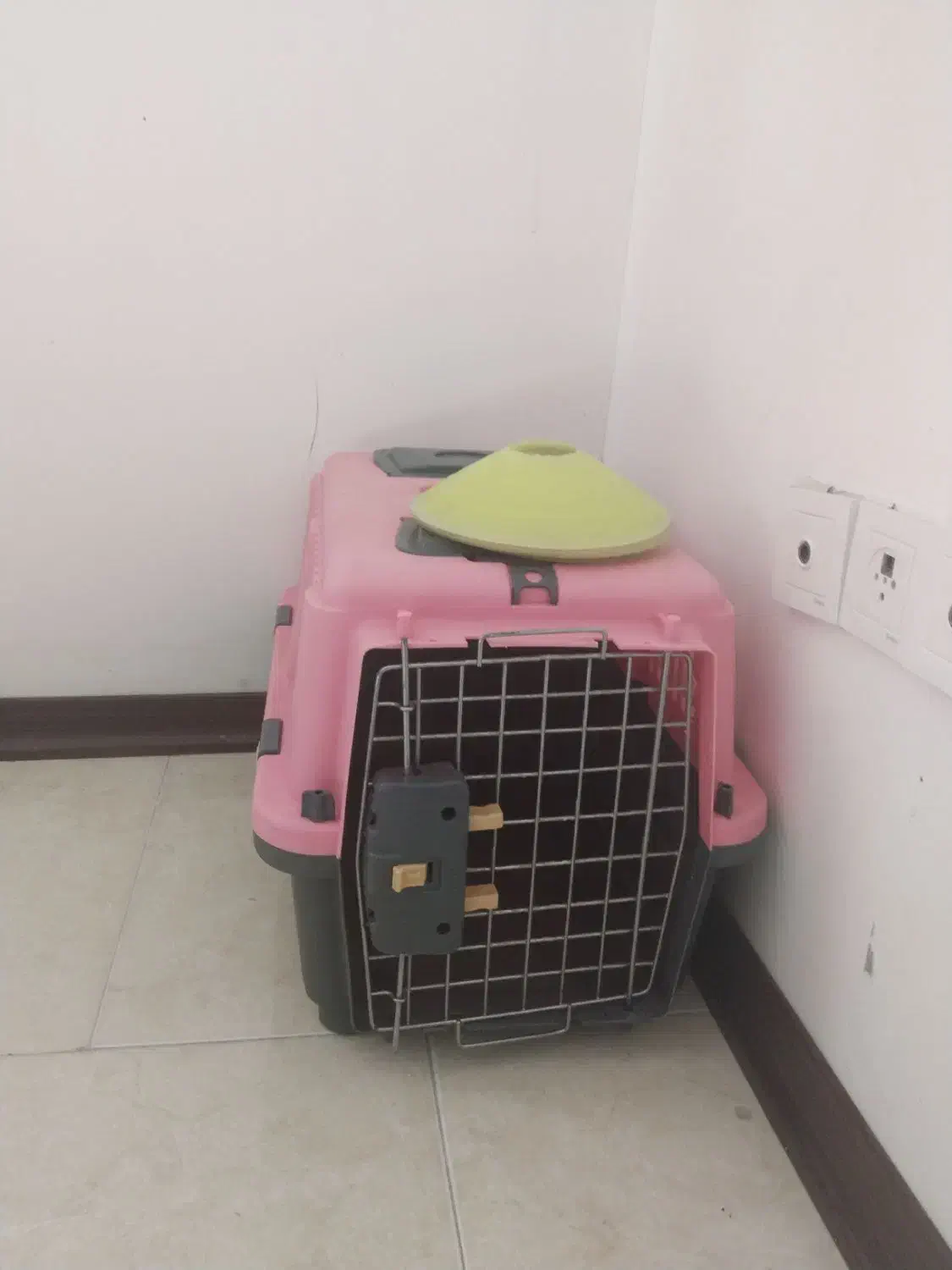 باکس حمل حیوانات|لوازم جانبی حیوانات|ساری, |دیوار