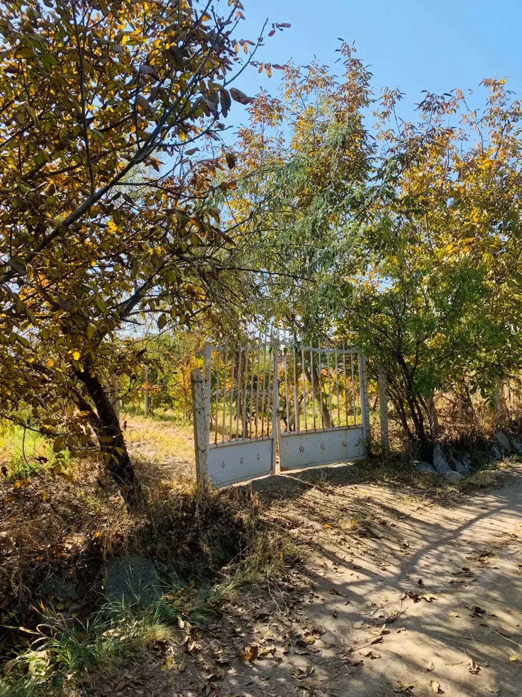 باغ ویلائی نوشین شهر ابتدای روستای رحیم آباد|فروش خانه و ویلا|نوشین شهر, |دیوار