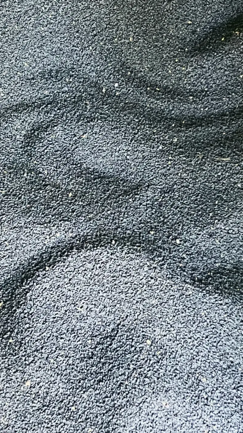 بذر مینروا دستگیر از قوطی اصلی ارژانتین|خدمات باغبانی و درختکاری|جیرفت, |دیوار