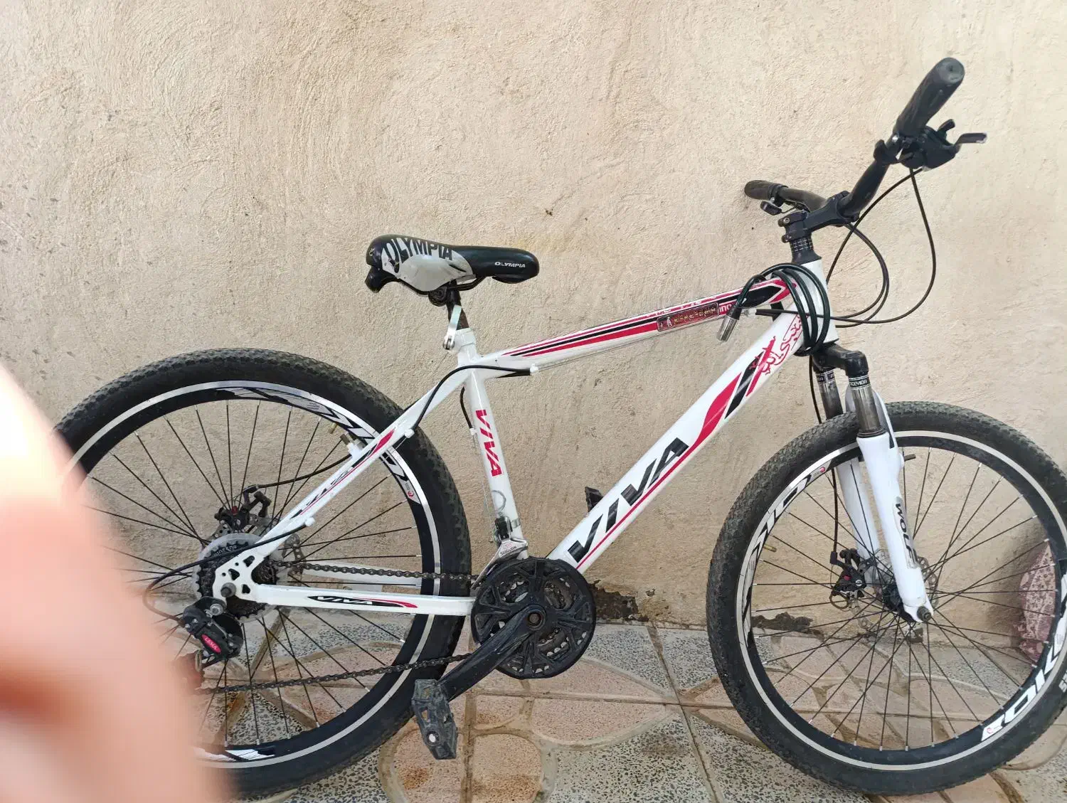 دوچرخه 26|دوچرخه، اسکیت، اسکوتر|بهار, |دیوار