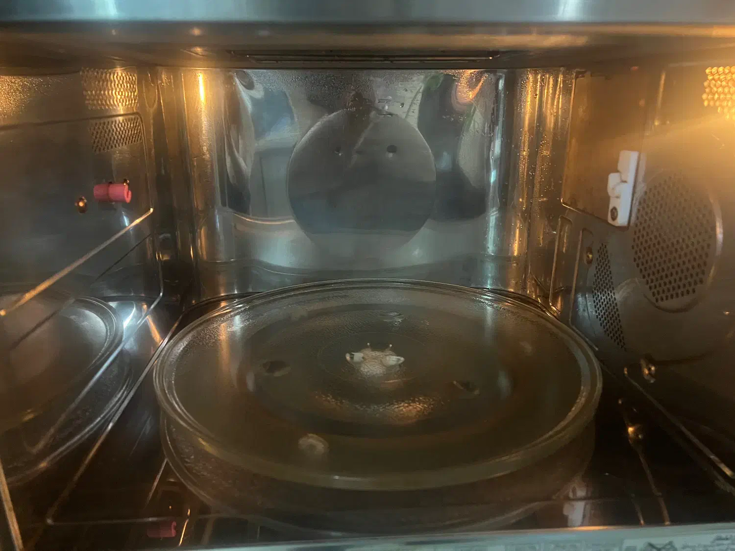 ماکروفر( WAVEDOM) ال جی اصل کره|اجاق گاز و لوازم برقی پختوپز|کرج, جهانشهر|دیوار