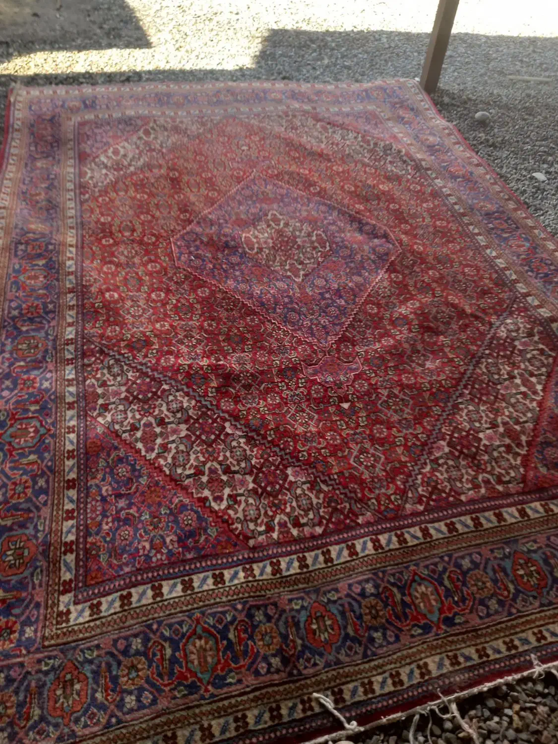 فرش دستباف ماهی|فرش|تبریز, |دیوار