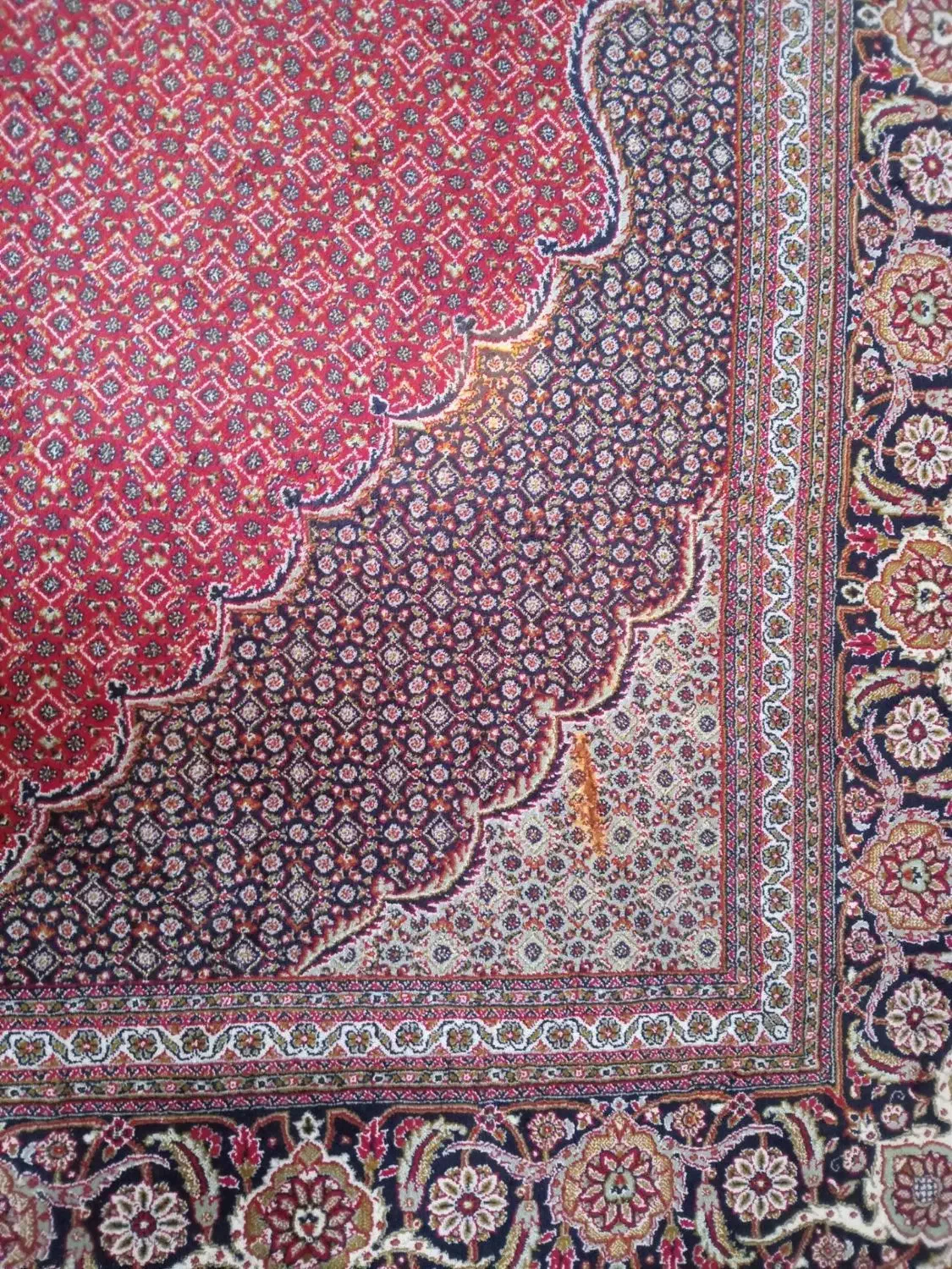 فرش ماشینی ۱۲ متری|فرش|مرند, |دیوار