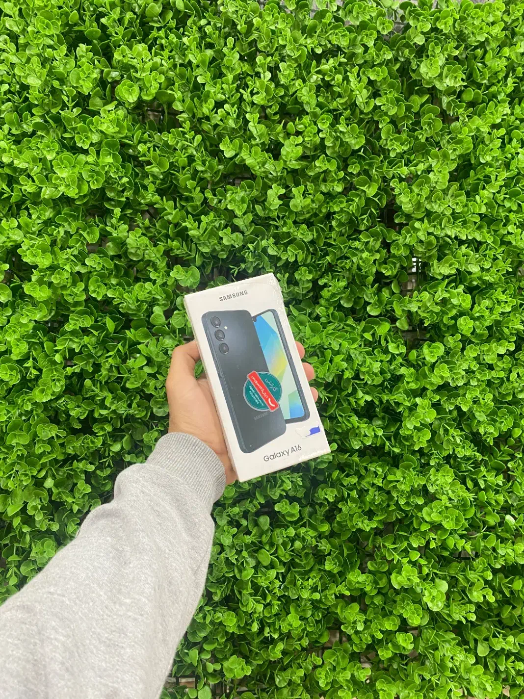 سامسونگ a16|موبایل|رودسر, |دیوار