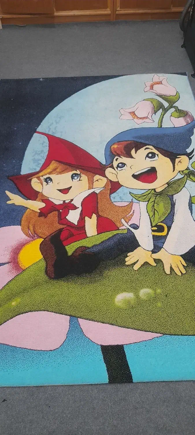 ۲ عدد گلیم فرش|گلیم، جاجیم، گبه|شهرکرد, |دیوار