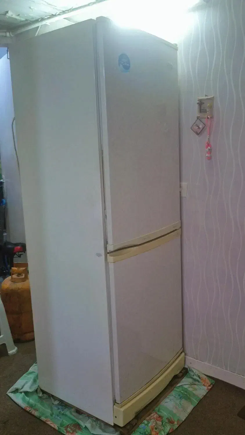 یخچال و فریزر سلین|یخچال و فریزر|بندرعباس, |دیوار