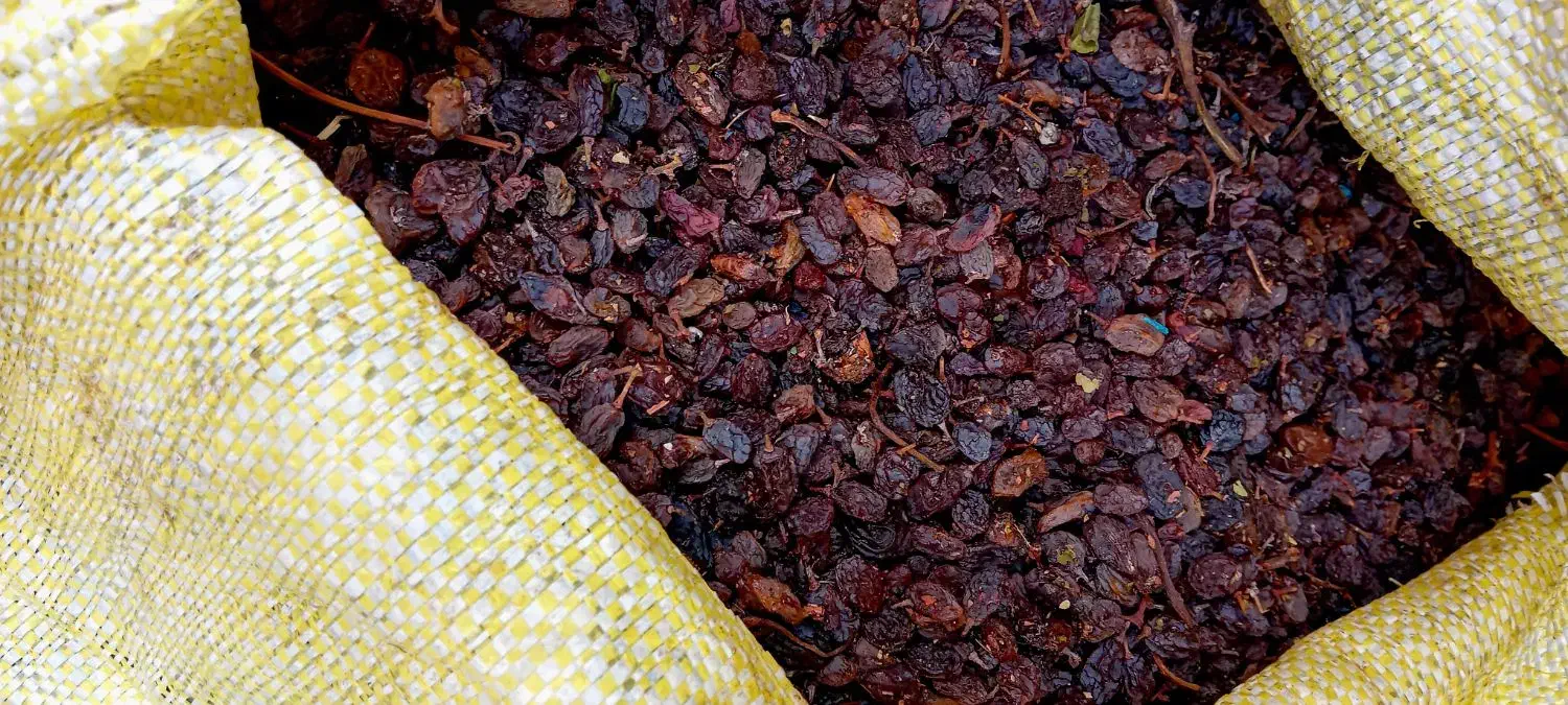 کشمش|خوردنی و آشامیدنی|بناب, |دیوار