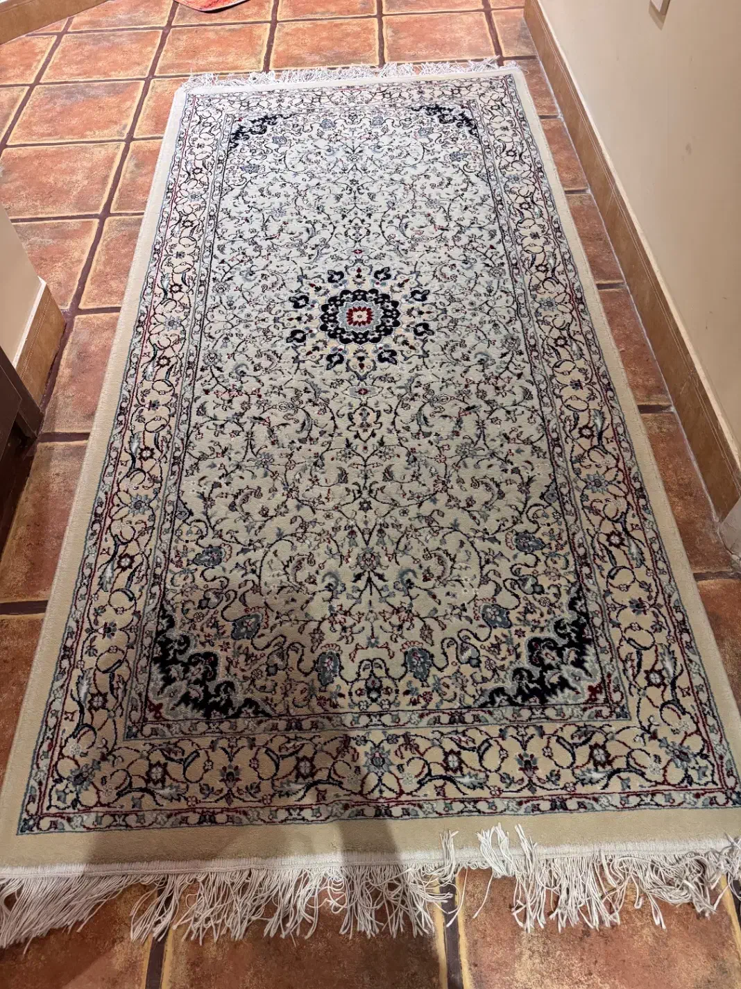 فرش مشهد ۱۲ متری بسیار تمیز|فرش|رشت, کاکتوس|دیوار