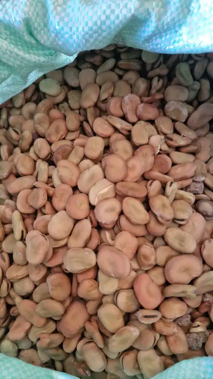 باقالی عمده|عمده‌فروشی|رشت, چله خانه|دیوار