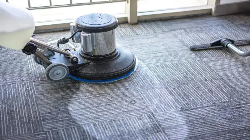 مبل شوی و فرش شوی سیار|خدمات نظافت|قشم, |دیوار