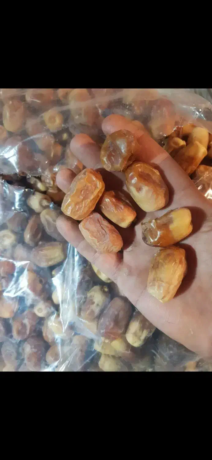 خرمای زاهدی|خوردنی و آشامیدنی|محمدیه-قزوین, |دیوار