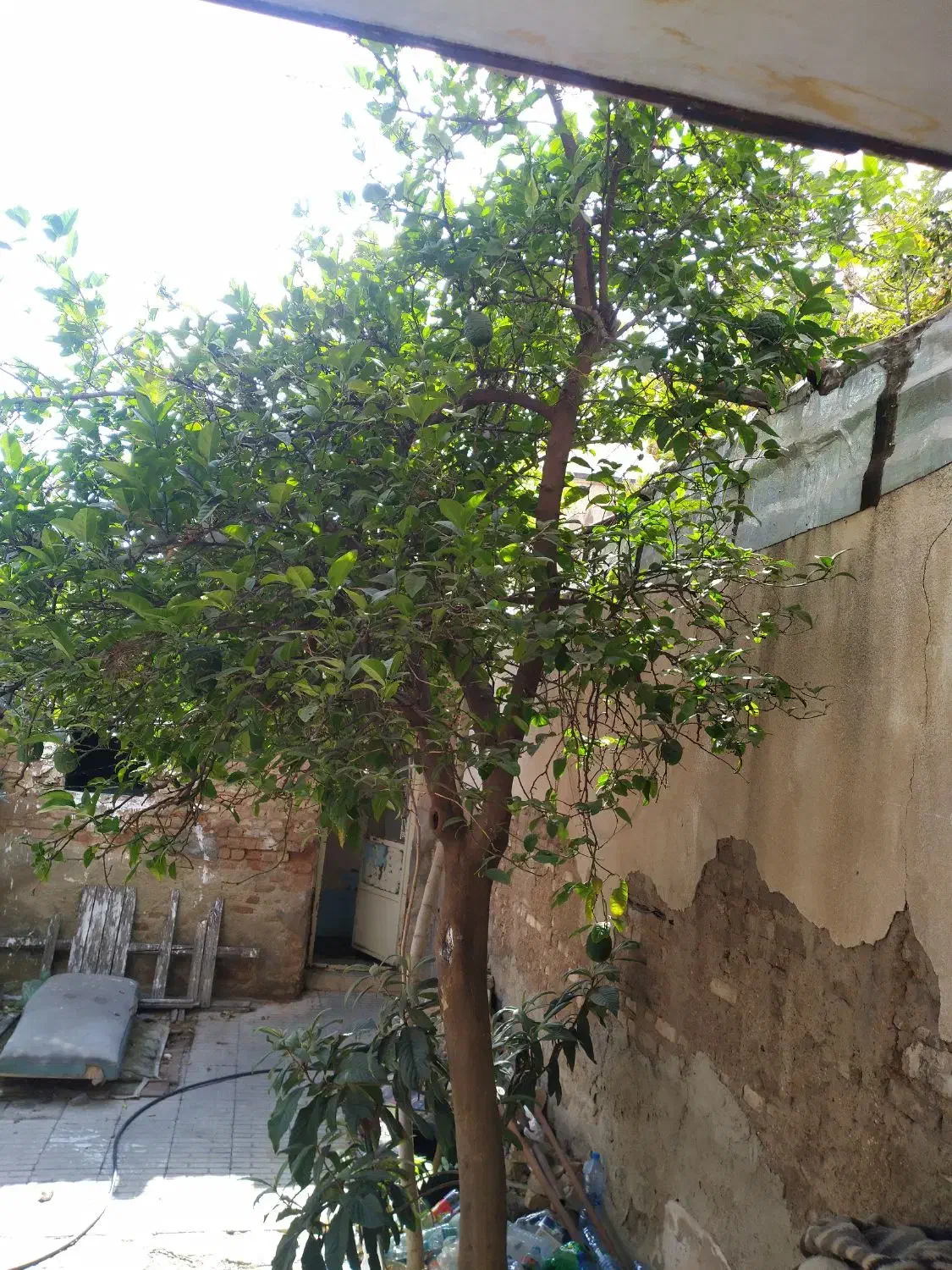 فروش زمین صندوقی با مجوز اماده ساخت|فروش زمین و ملک کلنگی|شیراز, دست خضر|دیوار