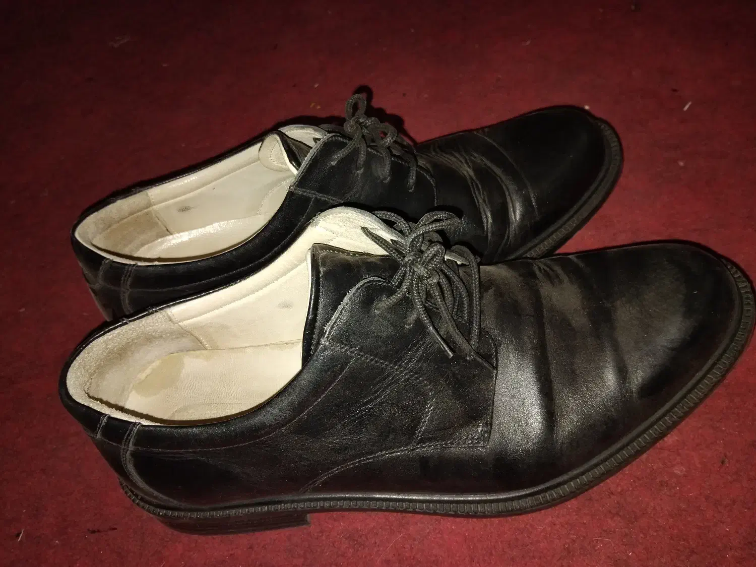 کفش چرم مردانه|کیف، کفش، کمربند|تربتحیدریه, باغ سلطانی|دیوار