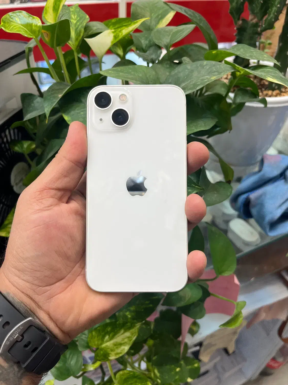 Iphone 13 cha|موبایل|شیراز, زند|دیوار