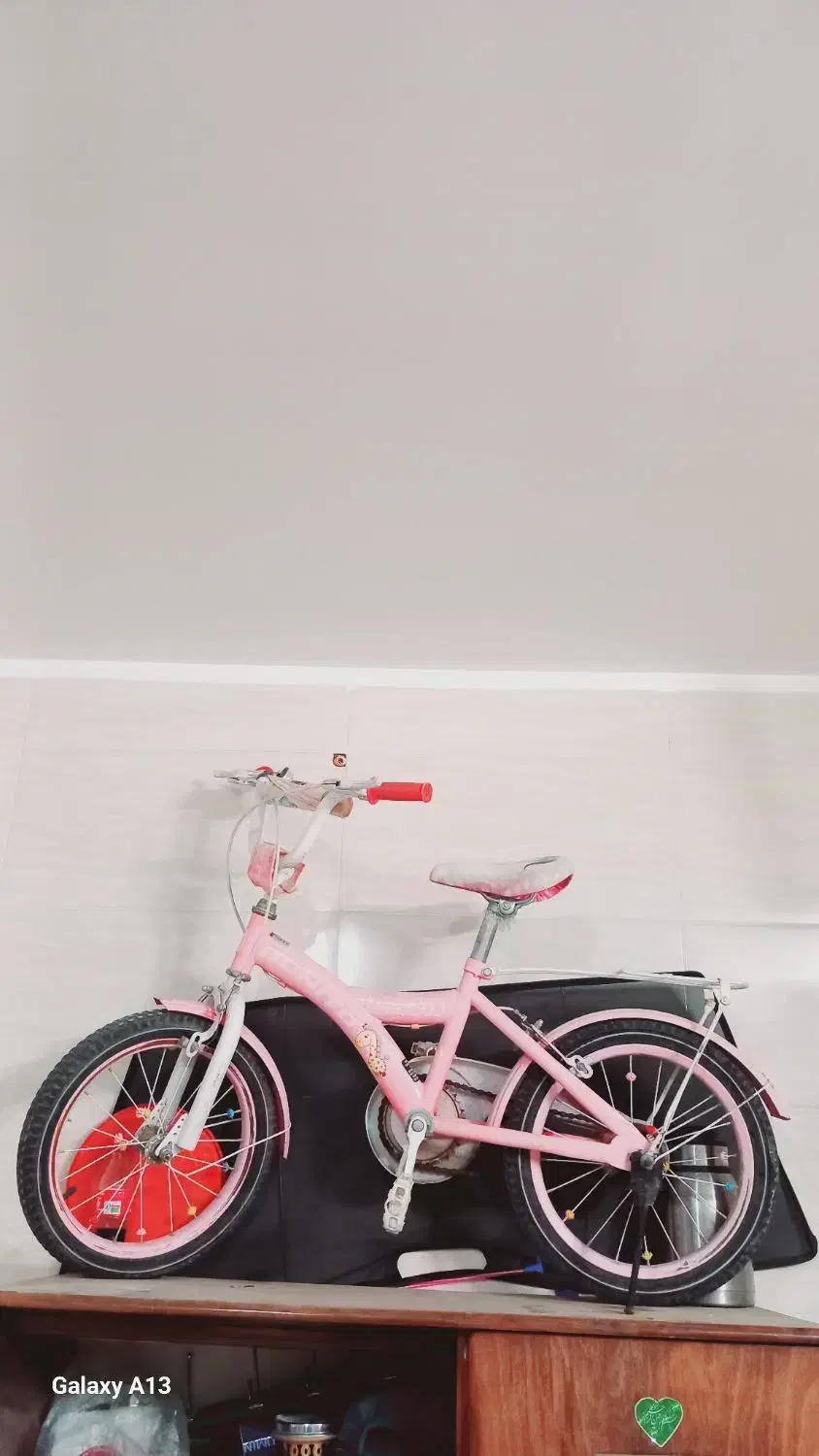 دوچرخه کودک|دوچرخه، اسکیت، اسکوتر|آران و بیدگل, |دیوار