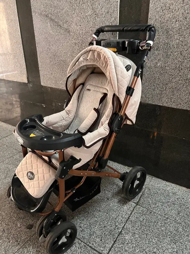 کالسکه دلیجان|کالسکه و لوازم جانبی|تهران, هروی|دیوار