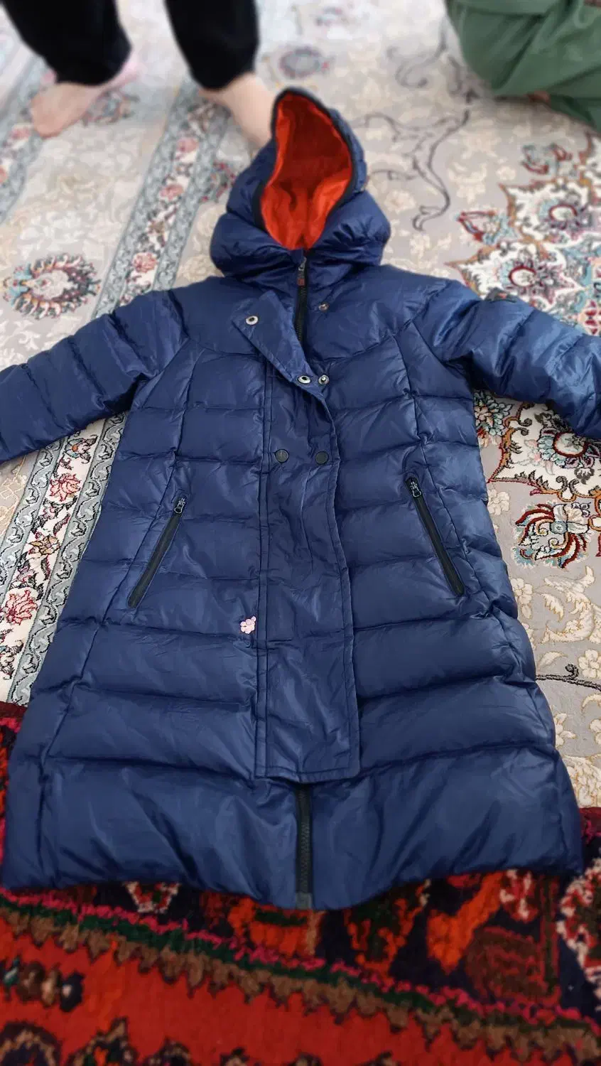 کاپشن پسرانه نو|لباس|قیدار, |دیوار