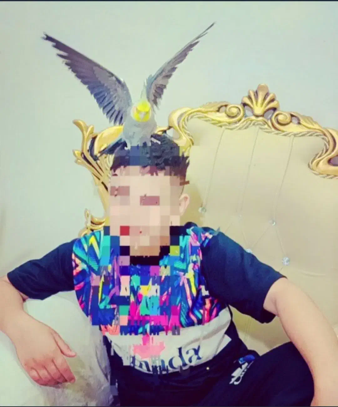 عروس هلندی|پرنده|باخزر, |دیوار