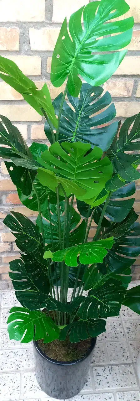 درختچه خارجی|گل مصنوعی|مشهد, حجت|دیوار