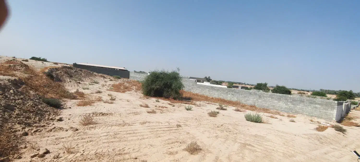 زمین خونه باغ.برق دارد|فروش زمین و ملک کلنگی|برازجان, |دیوار