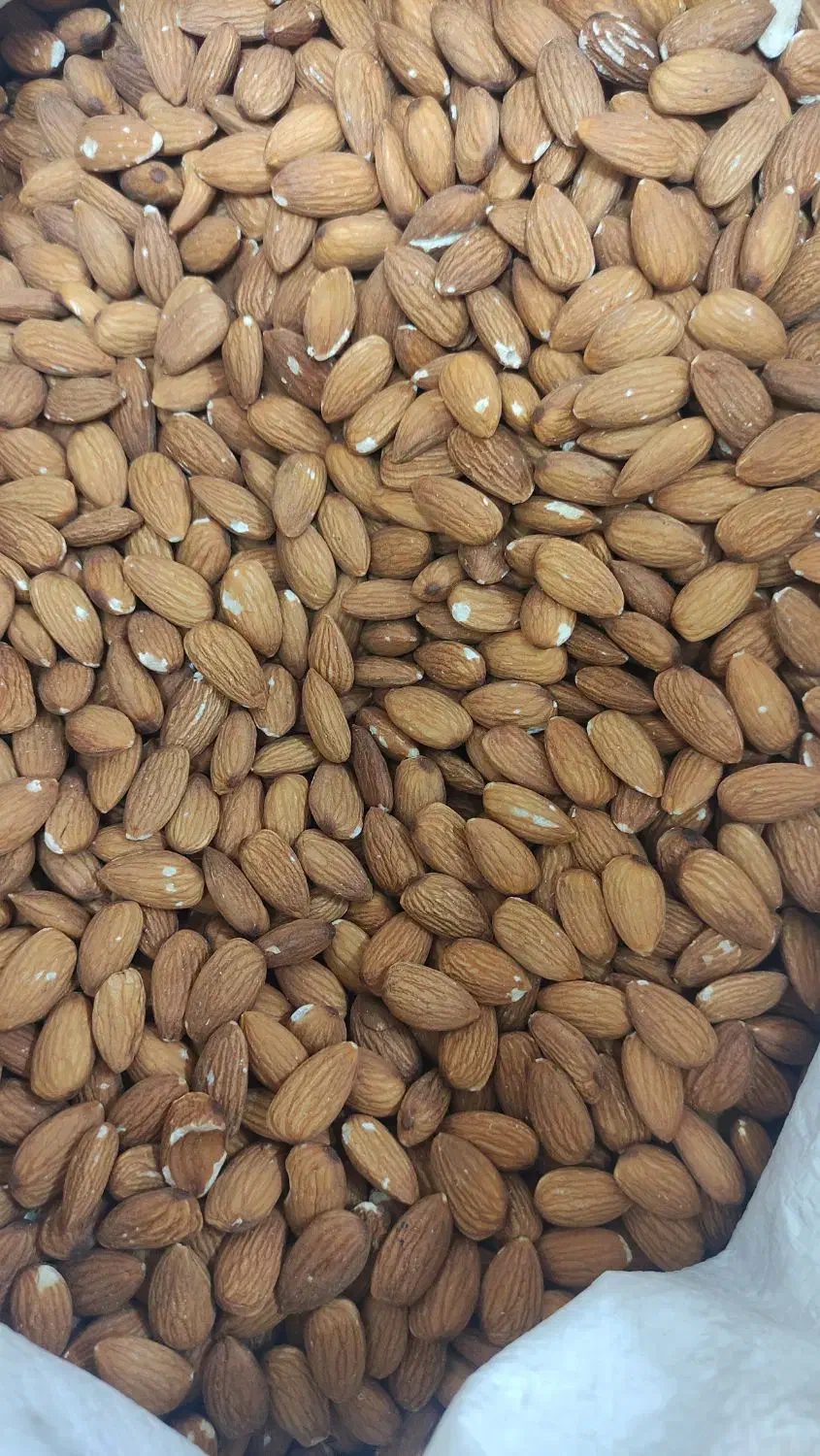مغز گردو درجه یک و شکری|خوردنی و آشامیدنی|قم, خاکفرج|دیوار