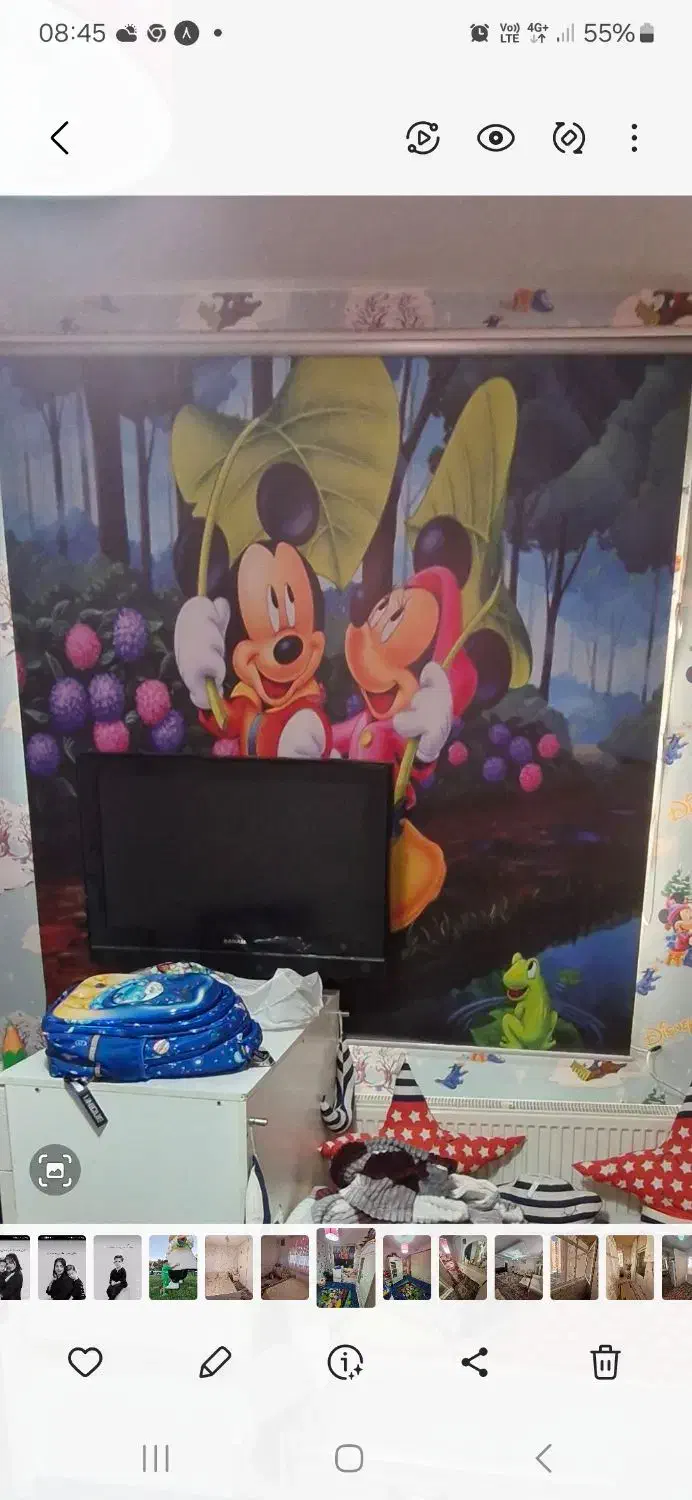 دوتا گلیم فرش و پرده ست|گلیم، جاجیم، گبه|محمدیه-قزوین, |دیوار