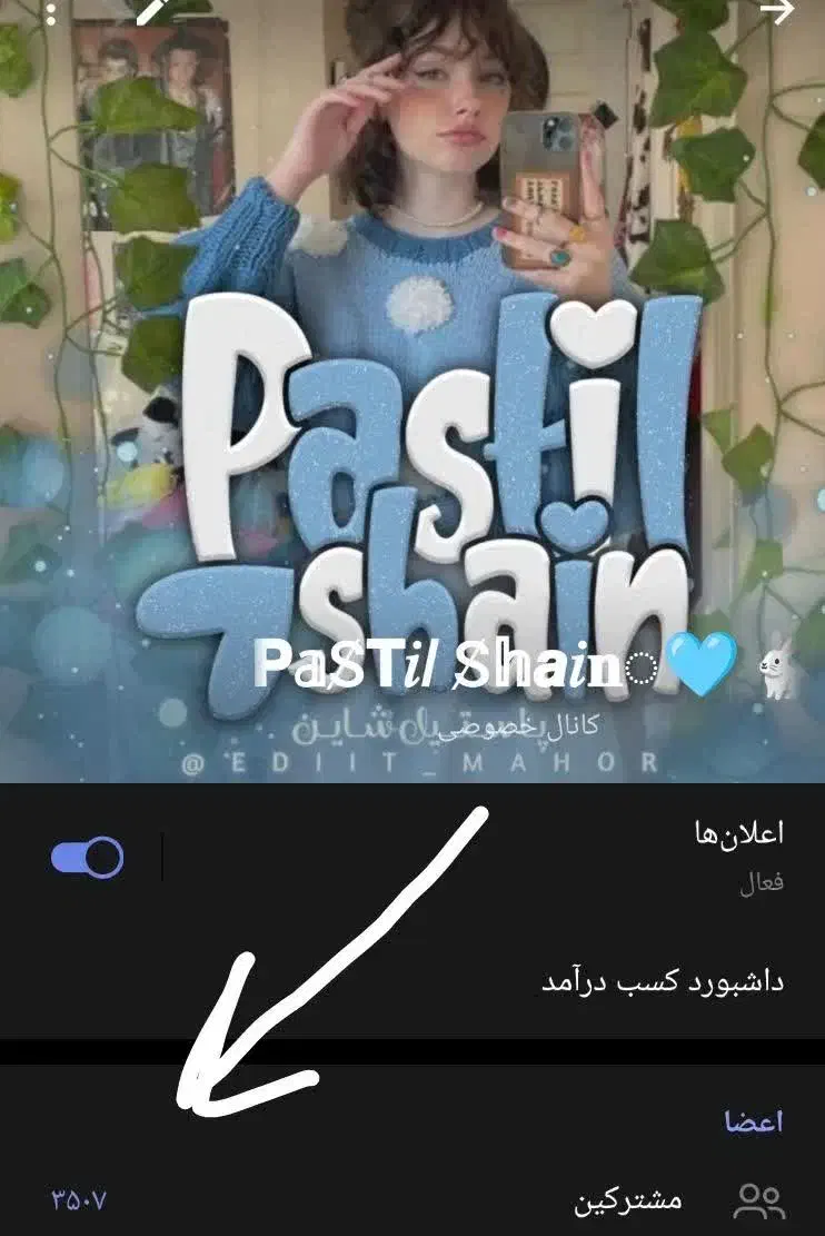 کانال و گروه روبیکا آمار بالا|لوازم جانبی موبایل و تبلت|مشهد, امامیه (شهرک غرب)|دیوار